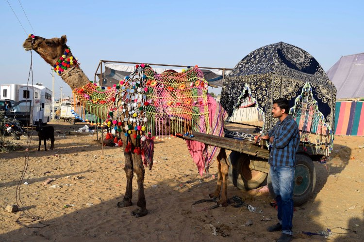 Carro decorado. Fiesta del camello. Pushkar.